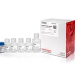 Thermo Fisher Scientific Dynabeads Antibody Coupling Kit
