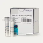 Macrogen Axen Taq DNA Polymerase