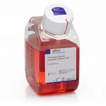 Thermo Fisher Scientific CTS Neurobasal Medium