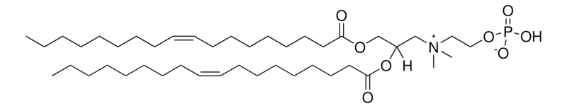 Merck DOCP