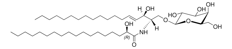 Merck C18(2R-OH) Galactosyl(beta) Ceramide