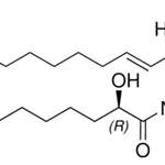 Merck C18(2R-OH) Galactosyl(beta) Ceramide