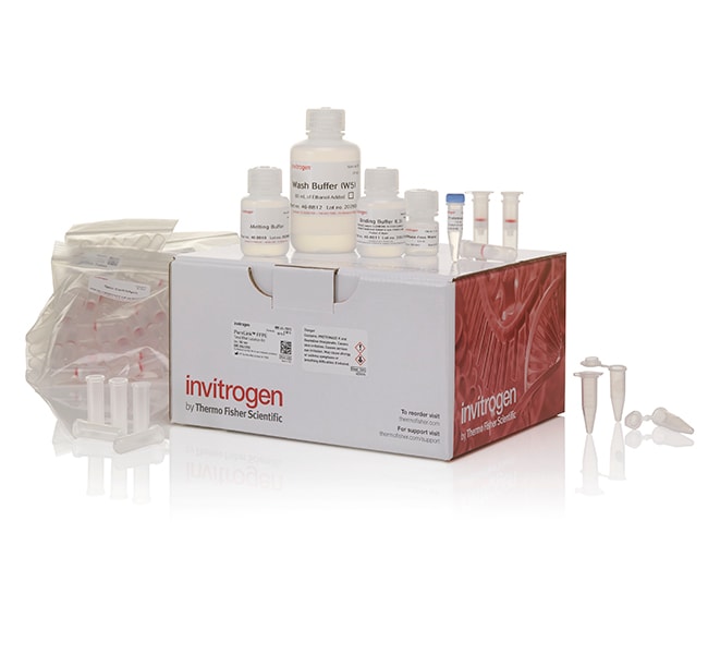 Thermo Fisher Scientific PureLink FFPE RNA Isolation Kit