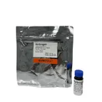 Thermo Fisher Scientific Bigfoot Calibration Beads