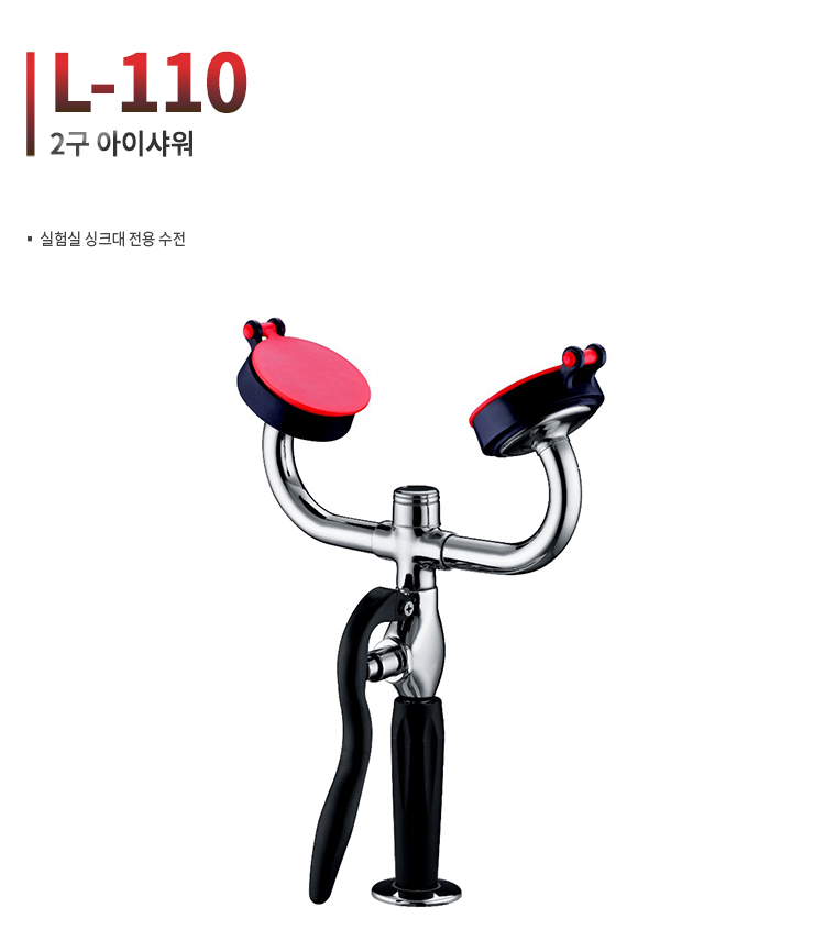 L-110.jpg