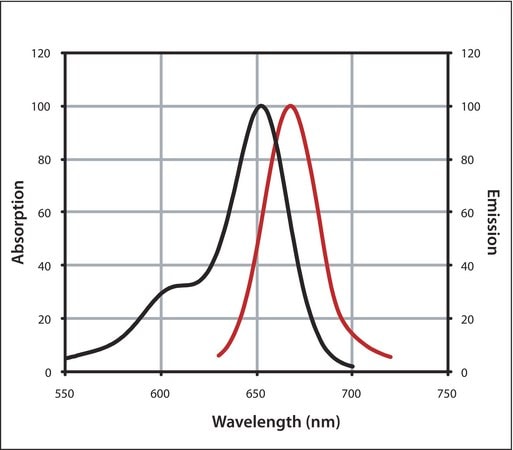 Merck Anti-Rabbit IgG (H+L), highly cross-adsorbed, CF(TM) 647 antibody produced in donkey