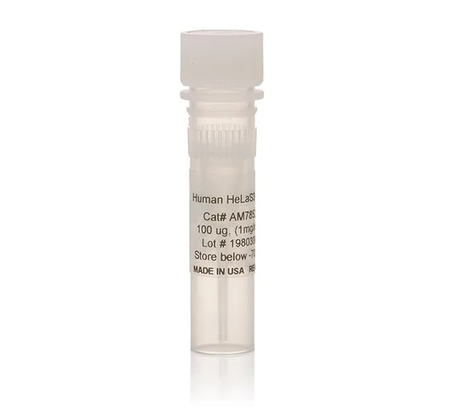 Thermo Fisher Scientific RiboMinus Transcriptome Isolation Kit, human/mouse