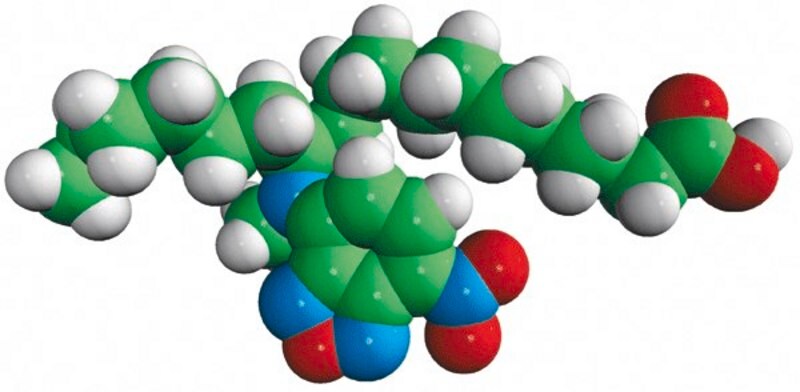 Merck 12-NBD Stearate