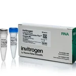 Thermo Fisher Scientific T7 RNA Polymerase-Plus Enzyme Mix (200 U/μL)