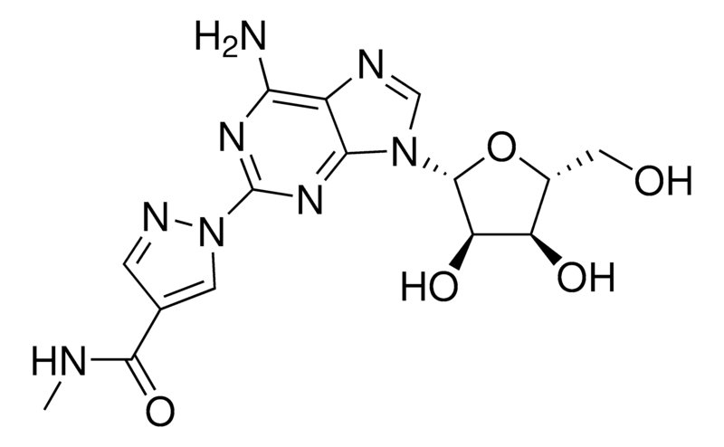 Merck Regadenoson