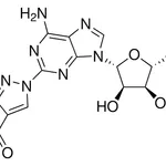 Merck Regadenoson