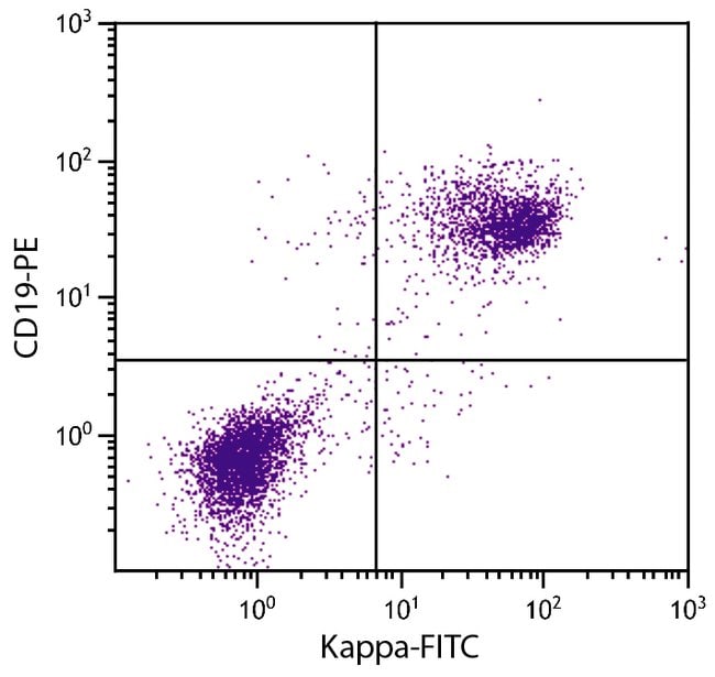 Thermo Fisher Scientific Rat anti-Mouse Kappa Light Chain Secondary Antibody, FITC