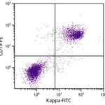 Thermo Fisher Scientific Rat anti-Mouse Kappa Light Chain Secondary Antibody, FITC