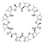 Merck Valinomycin