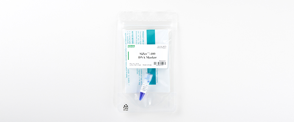 Intron SiZer™-100 DNA Marker Solution