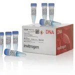 Thermo Fisher Scientific Zeocin Selection Reagent, 8 x 1.25 mL