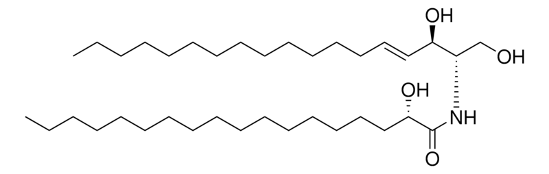 Merck 18:0(2S-OH) Ceramide