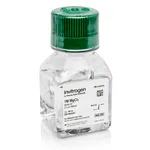Thermo Fisher Scientific MgCl2 (1 M)