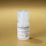 Thermo Fisher Scientific Immobilized Papain (Agarose Resin)