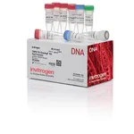 Thermo Fisher Scientific TOPO TA Cloning Kit, Dual Promoter, without competent cells, 25 Reactions