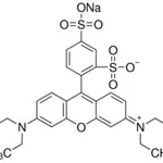Merck SULFORHODAMINEB SODIUM SALT BIOREAGENT