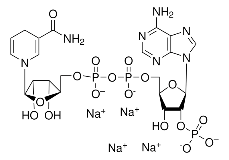 Merck beta-Nicotinamide adenine dinucleotide 2'-phosphate reduced tetrasodium salt hydrate