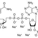 Merck beta-Nicotinamide adenine dinucleotide 2'-phosphate reduced tetrasodium salt hydrate