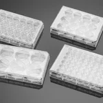 Corning® BioCoat™ Collagen I-coated Plates