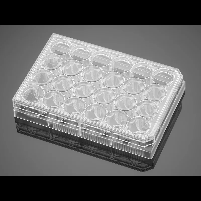 Corning® BioCoat™ Control Cell Culture Inserts, PET Membrane