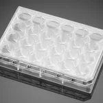 Corning® BioCoat™ Fibrillar Collagen Inserts with 1.0 µm PET Membrane in two 24-well Plates, 12/Pack, 24/Case