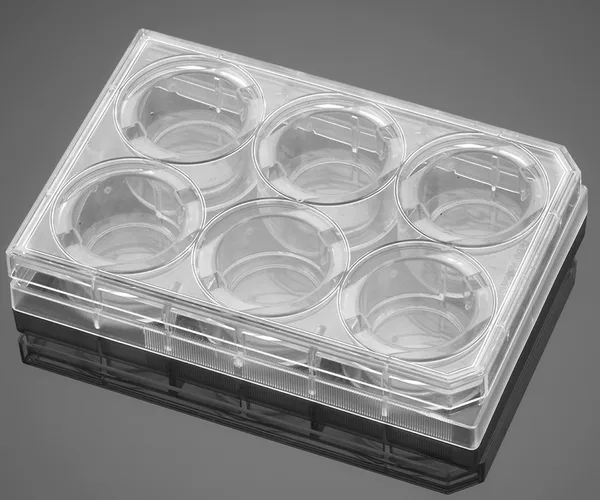 Corning® BioCoat™ Gelatin Plates