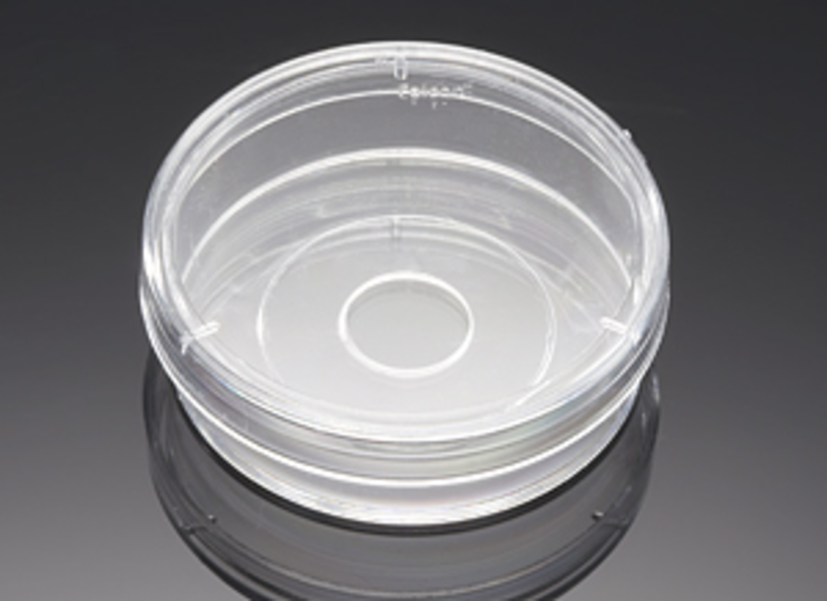 Corning® BioCoat™ Poly-D-Lysine Coverslips