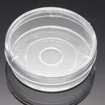 Corning® BioCoat™ Poly-D-Lysine Coverslips