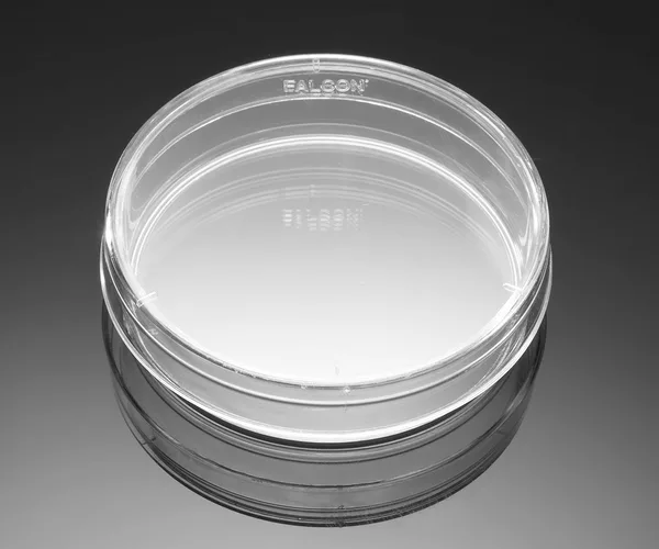 Corning® BioCoat™ Poly-D-Lysine Culture Dishes