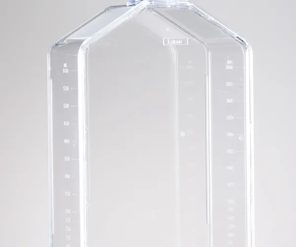 Corning® BioCoat™ Poly-D-Lysine Flasks