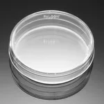 Corning® BioCoat™ Poly-L-Lysine-coated Culture Dishes