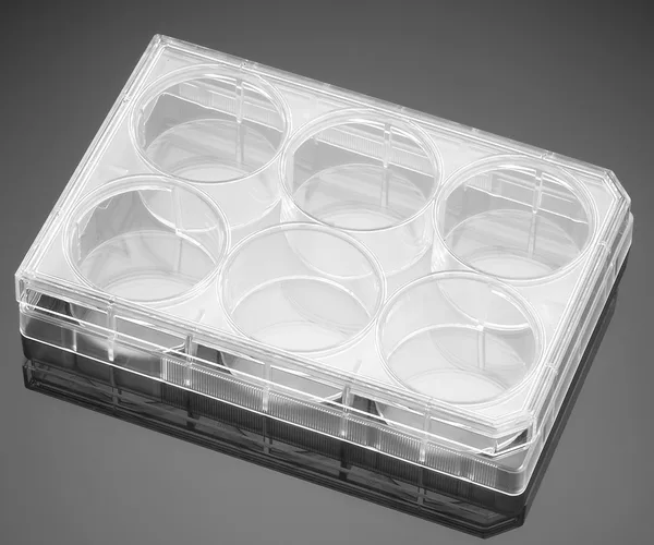 Corning® BioCoat™ Poly-L-Lysine-coated Plates