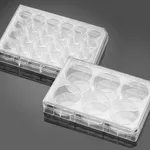 Corning® BioCoat™ Poly-L-Ornithine/Laminin Plates