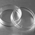 Corning® Not TC-Treated Culture Dishes
