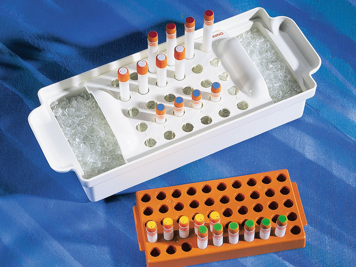 Corning® Polypropylene Cryogenic Vial Rack, Holds 50 Vials