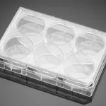 Corning® PureCoat™ ECM Mimetic Cultureware Plates