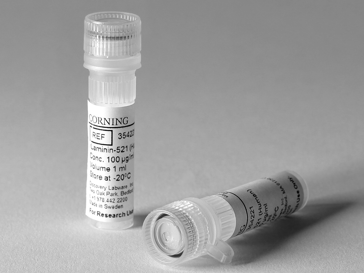 Corning® rLaminin-521 (Human)