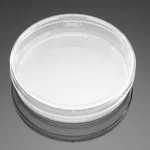 Falcon® Cell Culture Dishes