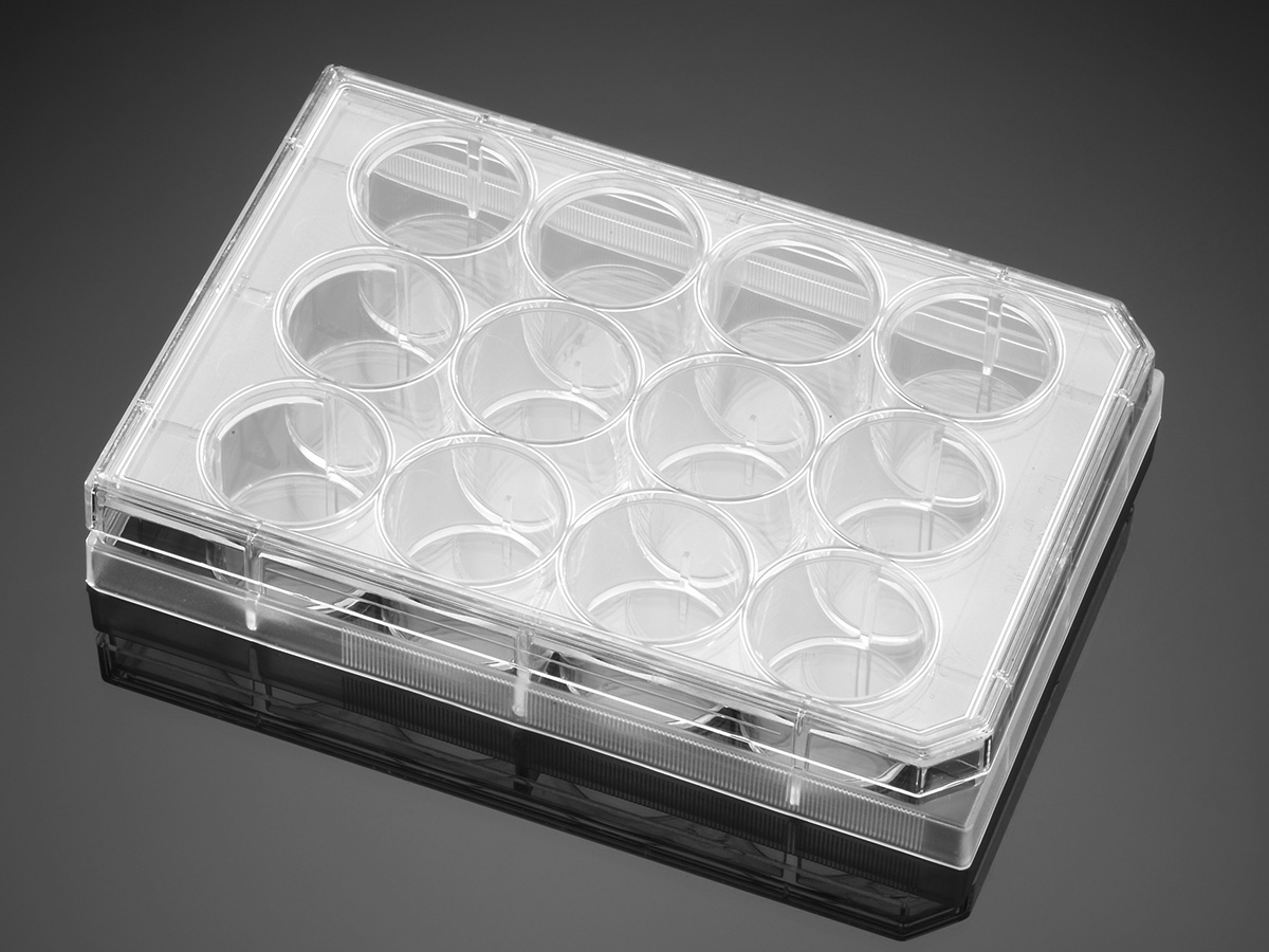 Falcon® Cell Culture Insert Companion Plates