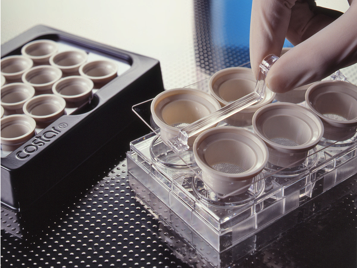 Netwell™ 12-well Carrier Kit for 15 mm Inserts, Nonsterile