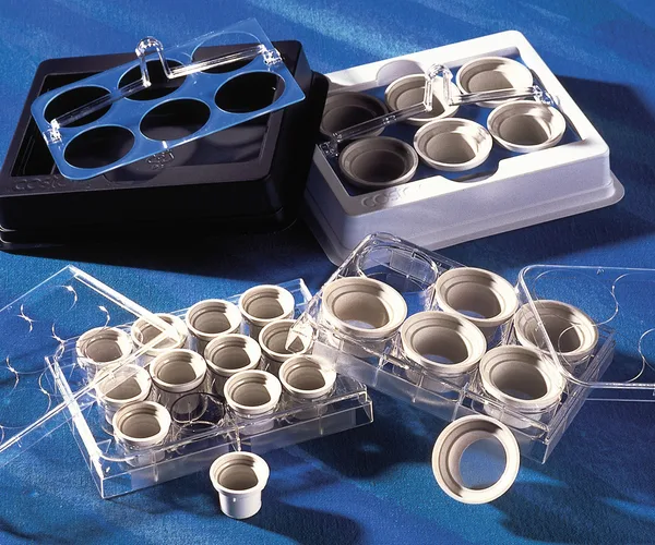 Netwell™ Inserts, Polyester Membrane