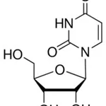 Merck 4-THIOURIDINE, >=98%