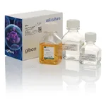 Thermo Fisher Scientific LV-MAX Transfection Kit