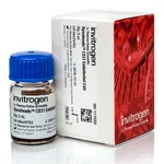 Thermo Fisher Scientific Dynabeads CD31 Endothelial Cell