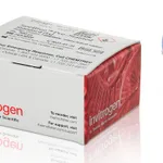 Thermo Fisher Scientific SeeBlue Pre-stained Protein Standard